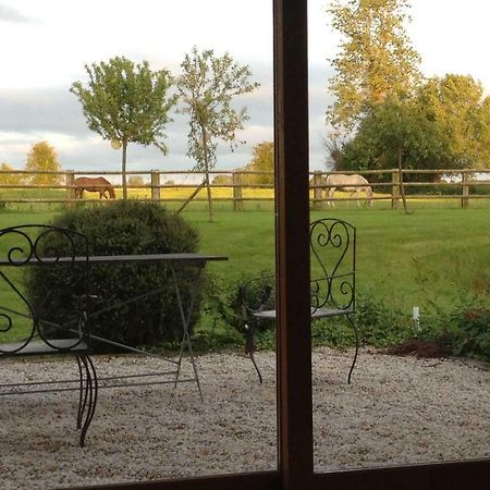 Bed and Breakfast Haras Des Leudets Blangy-le-Château Exterior foto
